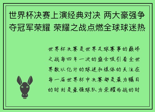世界杯决赛上演经典对决 两大豪强争夺冠军荣耀 荣耀之战点燃全球球迷热情