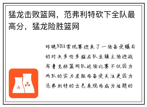 猛龙击败篮网，范弗利特砍下全队最高分，猛龙险胜篮网